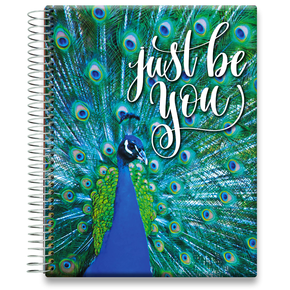 Tools4Wisdom Planner 2025-2026 Calendar - Peacock w Quote