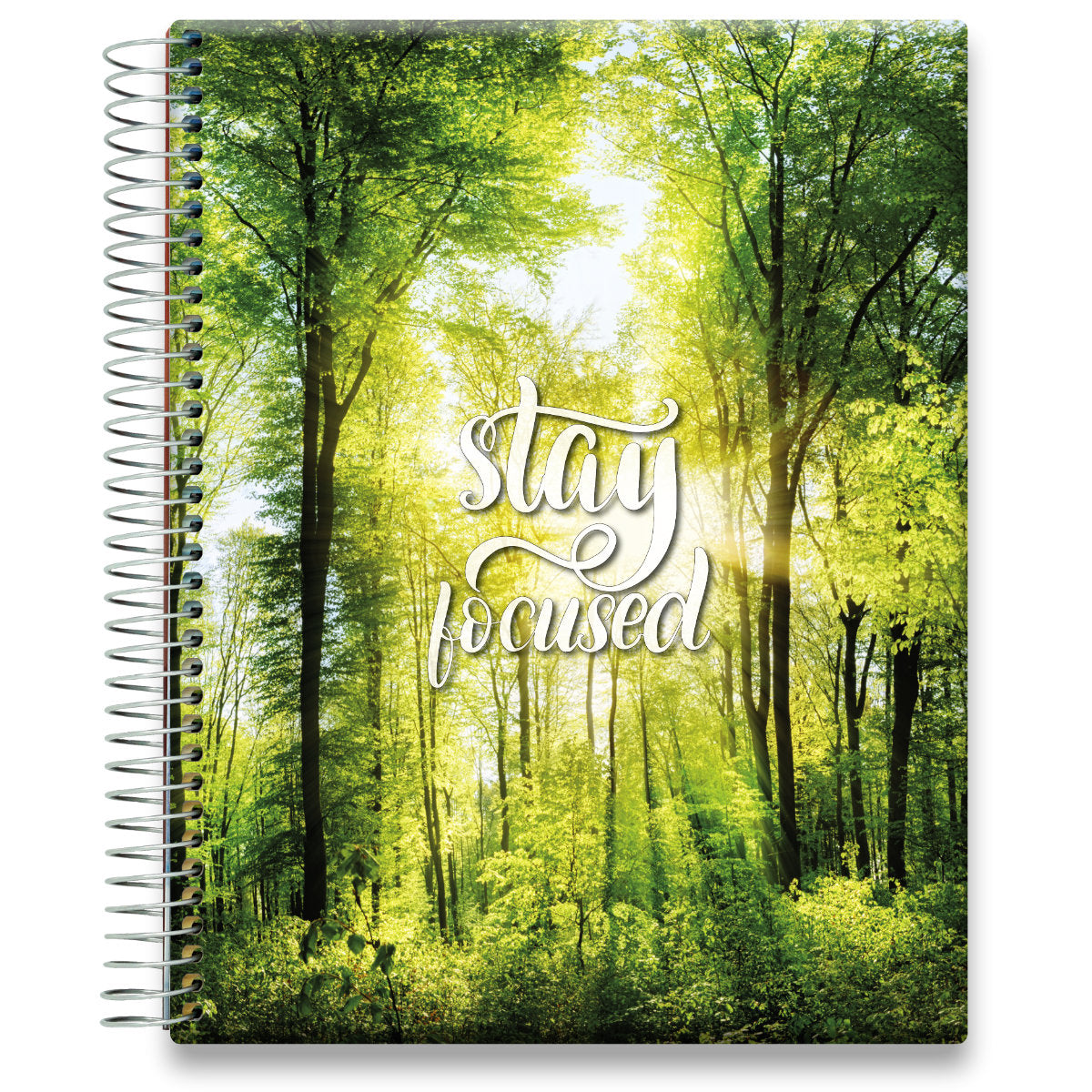 May 2024 to Jun 2025 Planner - Stay Focused Forest