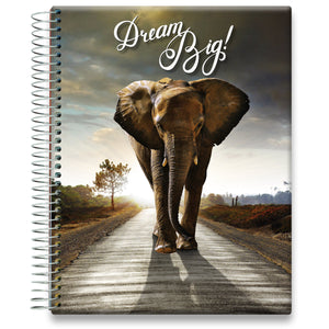 Coaching Session + May 2024 to Jun 2025 Planner - Inspirational Elephant